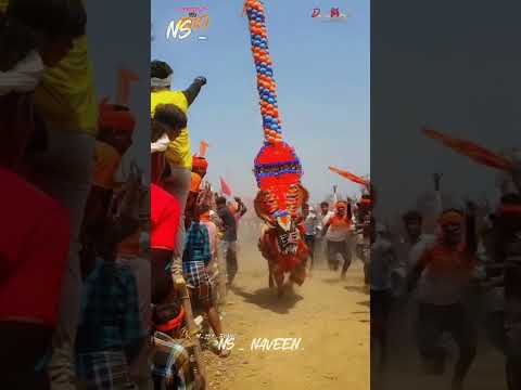 NTC Sarkar And RNR Raja 💥🚩|| Brother's|| Hori Habba 💥🌪️ #horihabbathebullrace #bull #bullrace
