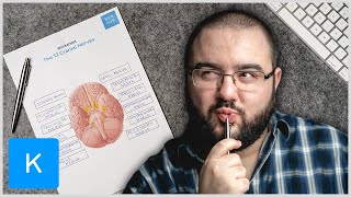 2 Easy ways to learn the cranial nerves - labeling exercises and quizzes | Kenhub