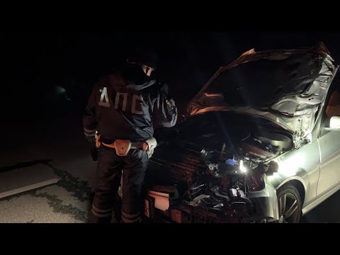 Серый мерин на тёмной трассе убил тёмную личность