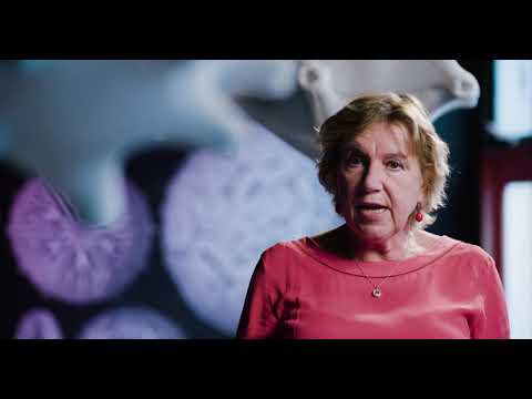 Spinozalaureaat 2019 - Yvette van Kooyk, Amsterdam UMC