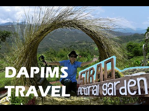 Sirao Pictorial Garden Cebu | Rare Colorful Flowers | 시라오 픽토리얼 가든 세부 | 희귀한 화려한 꽃