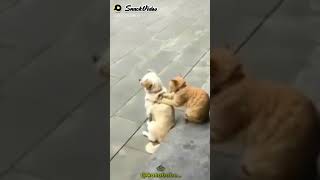 Download lagu Story wa kata baba lucu... mp3 Download lagu Story wa kata baba lucu... mp3