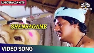 Shenbagame Video Song (Male)  செண்பக�