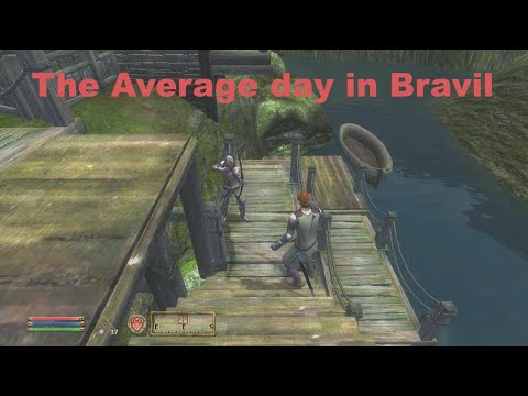 The Average day in Bravil