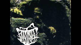 Finntroll    Midnattens Widunder   Midnattens Widunder