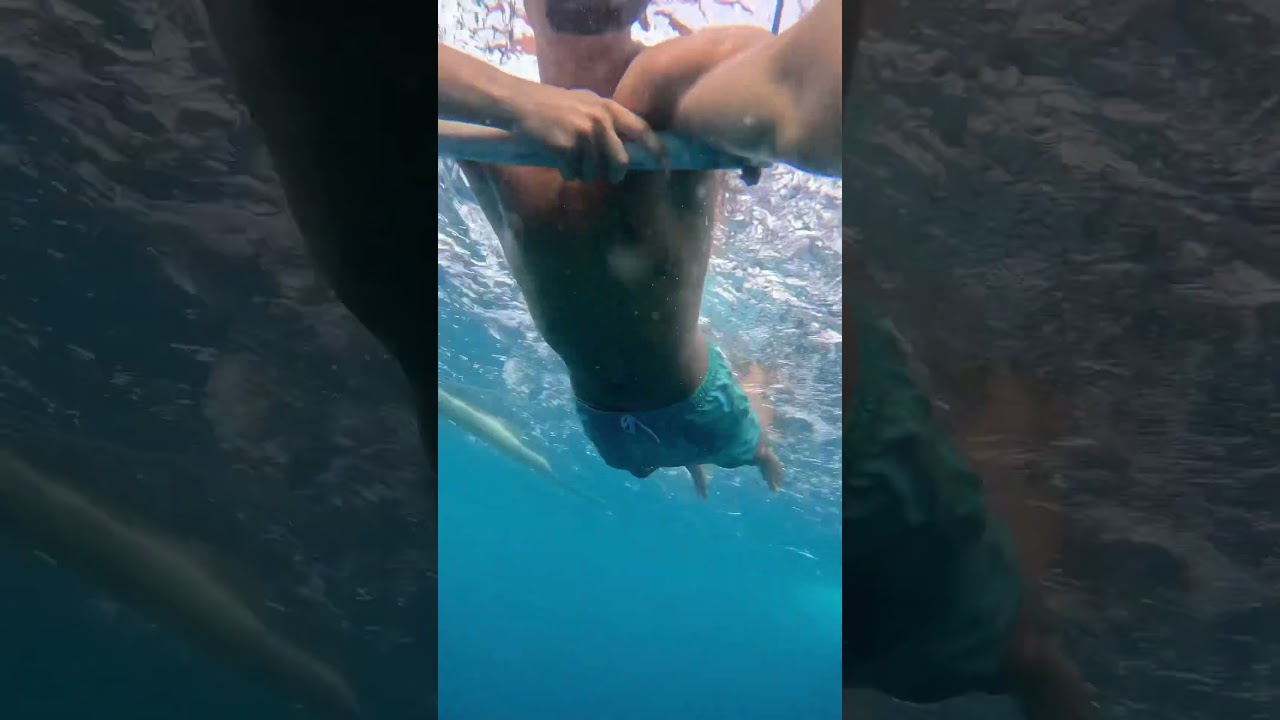 YouTube Short thumbnail