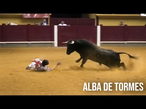 Alba de Tormes  2024 Concurso con Toros Bravos