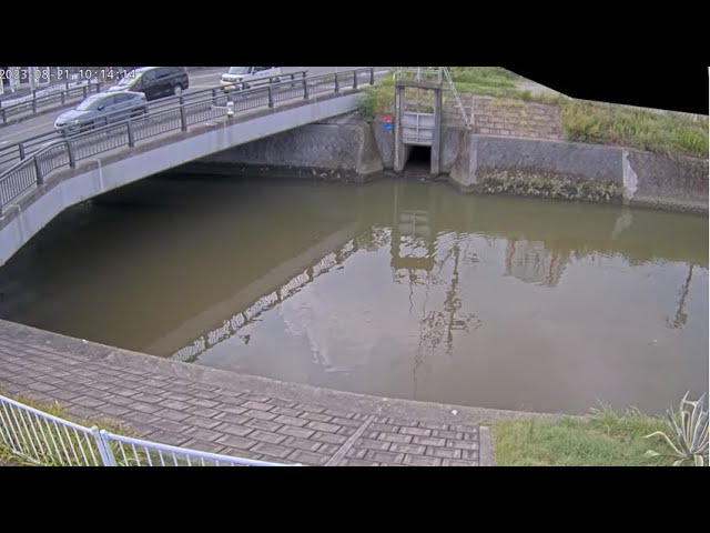 神戸川（成岩橋）