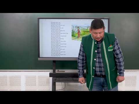 Video Gallery