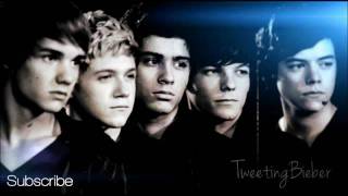 One Direction - What Makes You Beautiful (with Lyrics)
