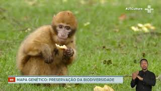Miniatura do vídeo