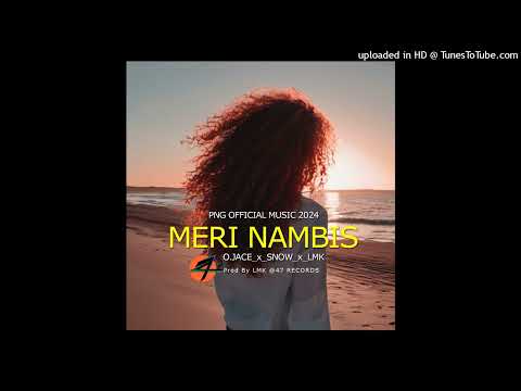 MERI NAMBIS 2024-O.JACE_x_SNOW_x_LMK [47 RECORDS]prod by LMK