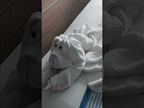 Thumbnail for Marina's Saying Goodbye to Carnival Jubilee (June 7-14, 2025)