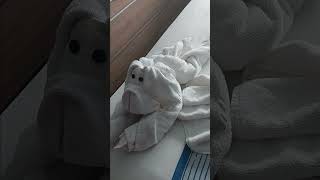 Marina's Saying Goodbye to Carnival Jubilee (June 7-14, 2025)