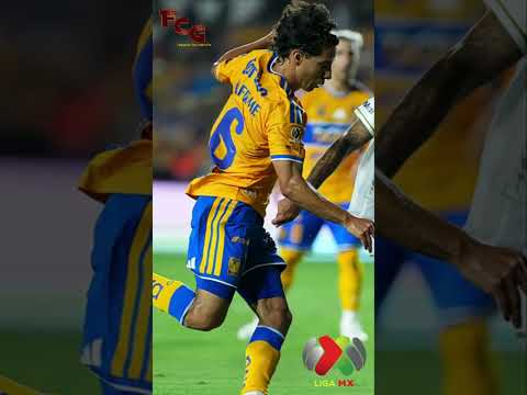 🐯🔥✨ TIGRES VS SAN LUIS: EL VOLCÁN TEMBLÓ CON UN EMPATE LLENO DE DRAMA Y CORAZÓN ✨🔥🐯