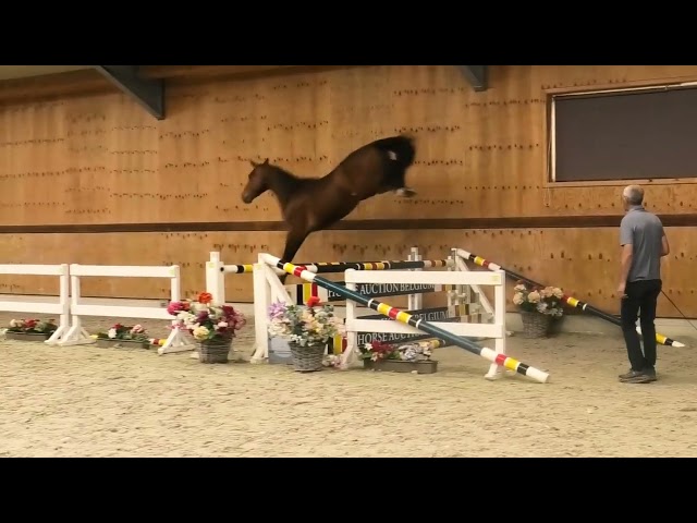 Jumping