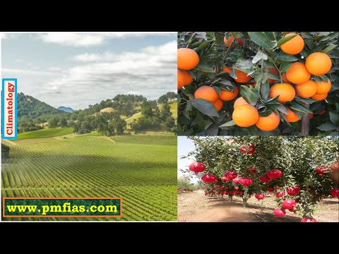 C28-Mediterranean Climate | Warm Temperate West Coast Climate