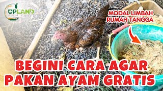 Download lagu Pembuatan Pakan Ayam dari Limbah Rumah Tangga - Konsep Kemandirian Pakan | UPLAND Project mp3 Download lagu Pembuatan Pakan Ayam dari Limbah Rumah Tangga - Konsep Kemandirian Pakan | UPLAND Project mp3