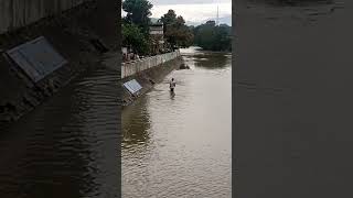 Download lagu ngecrik lauk #shorts #tangkapikan mp3