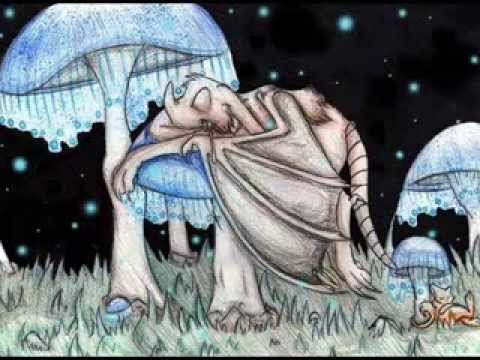 Gaudium - Live Set - O.Z.O R.A.  (2011)