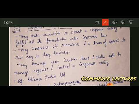 types of entrepreneurs and intrapreneurship innovative imitative fabian drone entrepreneurs