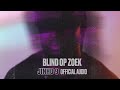 Jinho 9 - Blind op zoek (Trapagas)