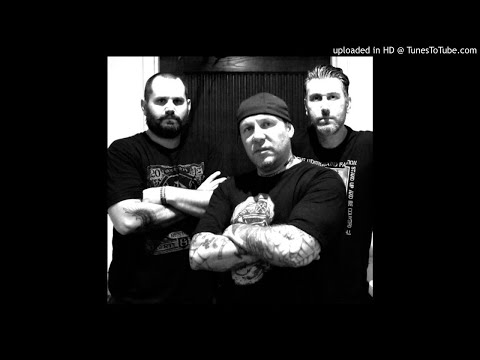 The Alligators- Open Your Eyes