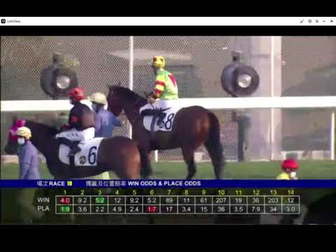 2021 02 14 沙田 第十場 蔡明紹 二話不說