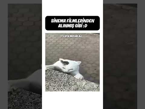 Sinema Filmlerinden Alınmış Sahne Gibi