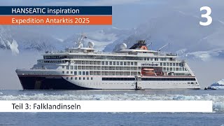 Hanseatic inspiration - Grand Expedition Antarctica (2025): Part 3 (Falkland Islands)
