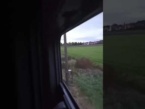 Train techno in germany #shorts #funny #techno #gemerny #rave