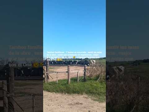 Localidad Carreta Quemada , 100 habitantes , tambos familiares , dpto. San José 🇺🇾 . Videitos  .