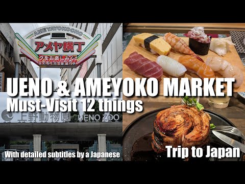 , title : 'A Guide to enjoy Ueno Park and Ameya Yokocho Market to the fullest in 2023, Summer'