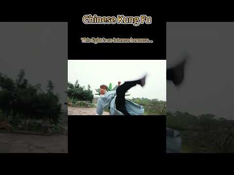 Fight first, share later. No bad blood in the end.#kungfu #martialarts #funn #fyp #fighting #friends