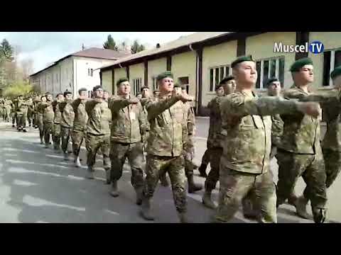 Jurnal MUSCEL TV  03.11.2022 Ziua vânătorilor de munte