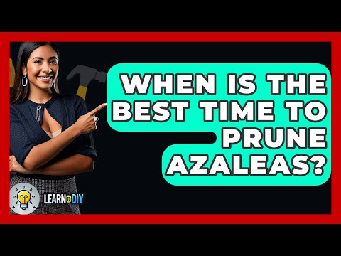 When Is The Best Time To Prune Azaleas? - LearnToDIY360.com