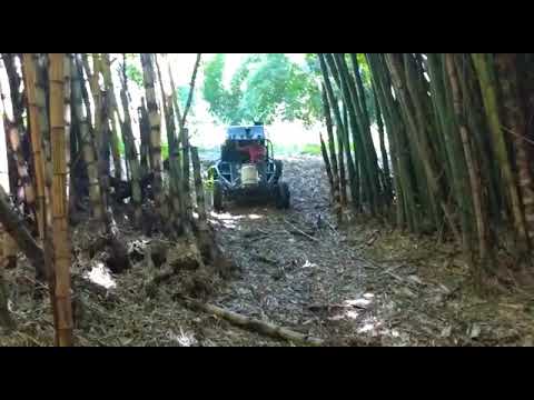 Trilha de gaiola 2020