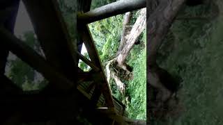 preview picture of video 'Palompon( Masaba falls) kalingawan sa hubog'