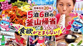 【부산】日本在住20年、5泊6日の釜山帰省Vlog|デジクッパ・太宗台の海鮮・南浦洞で古着&メガネ・夜はマクチャン!