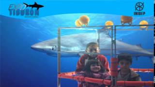 DIA 2 Expo Tiburon57