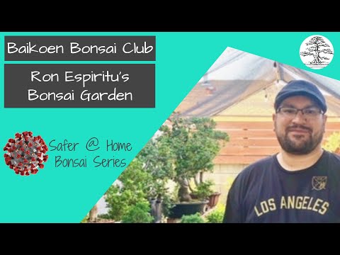 Ron Espiritu's Bonsai Garden - Baikoen Bonsai Club - Safer @ Home Bonsai Series