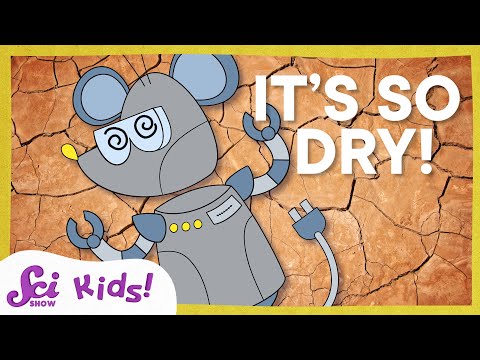 The Driest Places on Earth