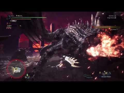 Fatalis first kill*