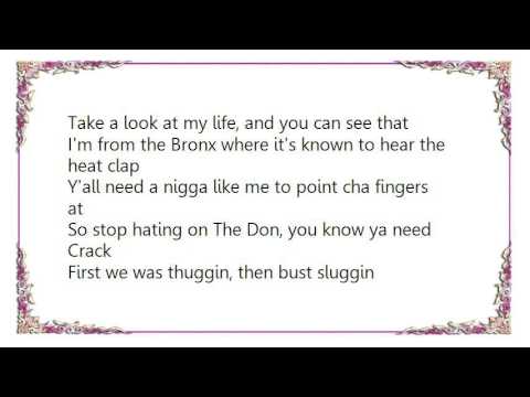 Fat Joe - Take a Look at My Life Lyrics