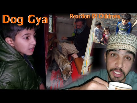 Kuta Gya Aur Bachoo Ki Reaction 😑