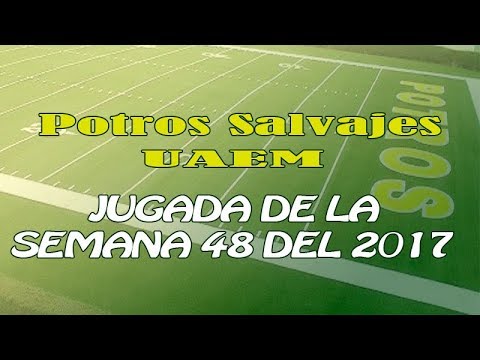 Jugada de la Semana 48 del 2017
