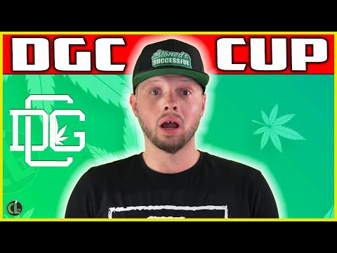 Dgc Cup 2026 Recap