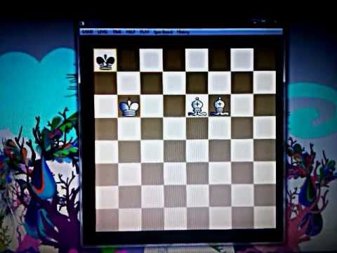 MAT sa dva LOVCA i KRALJ protiv KRALJA # 48 sah i mat