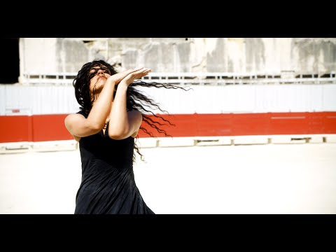 Birds On A Wire  - Sur La Place (Official Music Video)