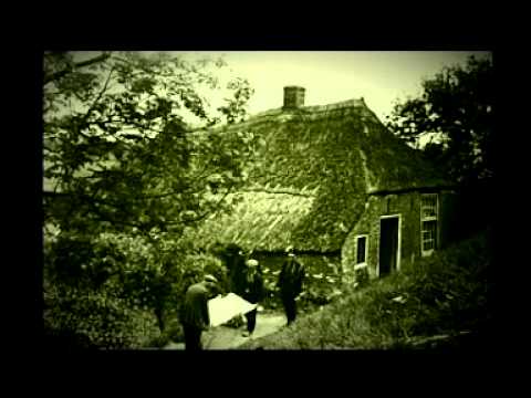 Donker Oss - Bekkesnijers